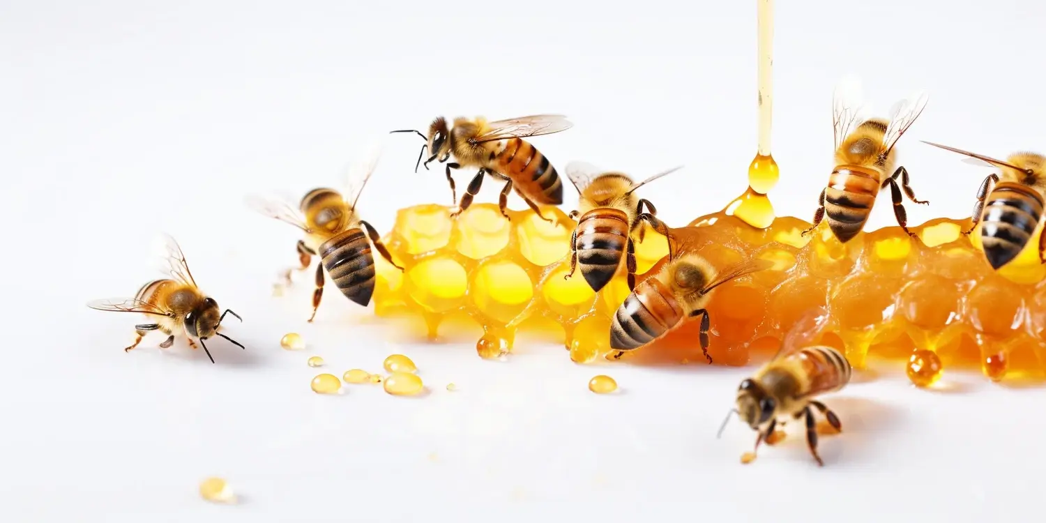 Na co dobry miód lipowy?