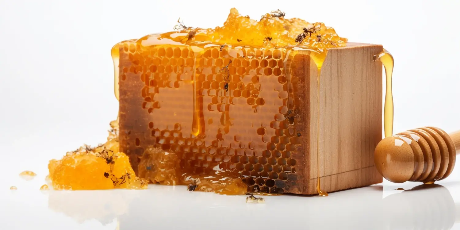 Miód lipowy kiedy zbiory?